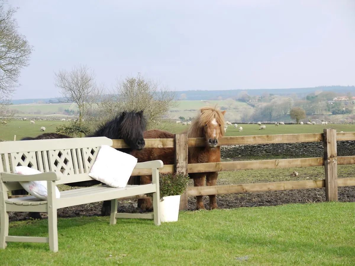Rectory Farm Bed & Breakfast Levisham 0*,